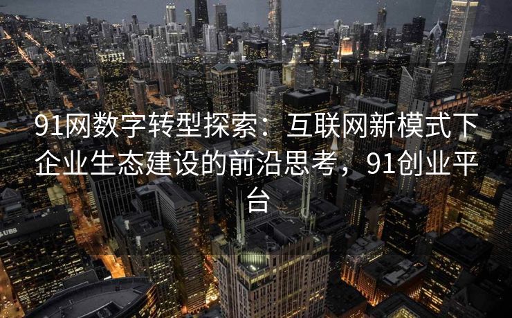 91网数字转型探索：互联网新模式下企业生态建设的前沿思考，91创业平台