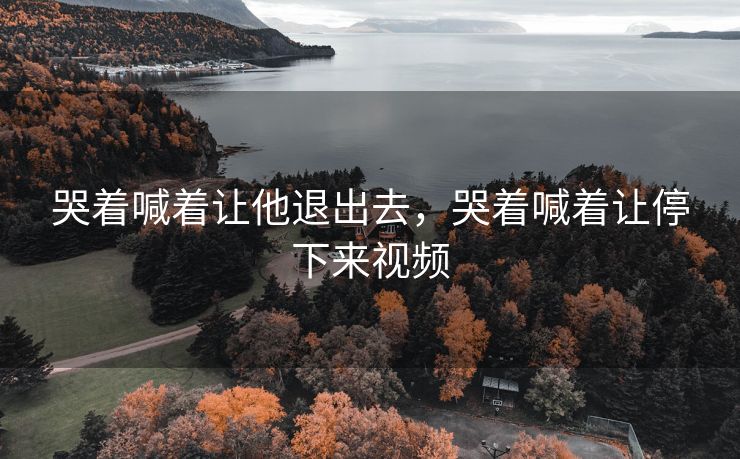 哭着喊着让他退出去，哭着喊着让停下来视频