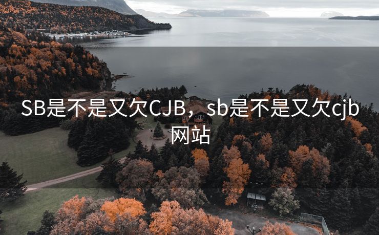 SB是不是又欠CJB，sb是不是又欠cjb网站