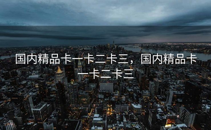 国内精品卡一卡二卡三，国内精品卡一卡二卡三