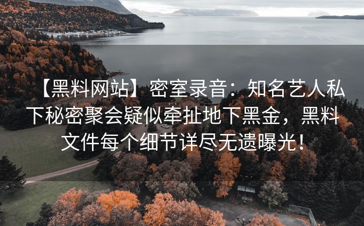 【黑料网站】密室录音：知名艺人私下秘密聚会疑似牵扯地下黑金，黑料文件每个细节详尽无遗曝光！