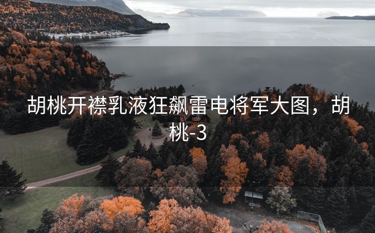 胡桃开襟乳液狂飙雷电将军大图，胡桃-3