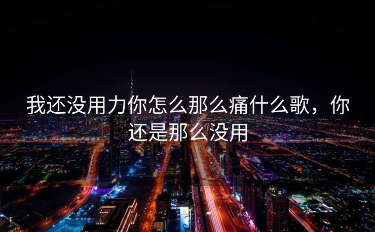 我还没用力你怎么那么痛什么歌，你还是那么没用