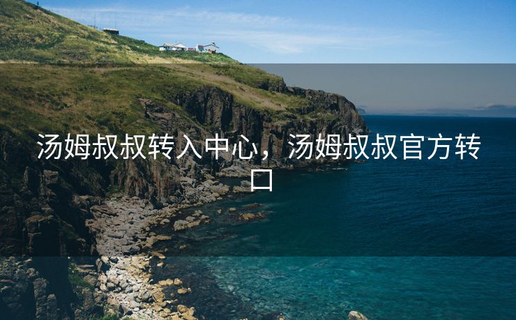 汤姆叔叔转入中心，汤姆叔叔官方转口